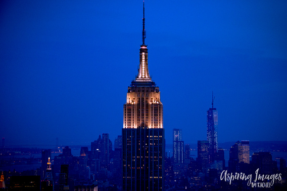 AIBR-NYC-EmpireStateBldg-BlueLight